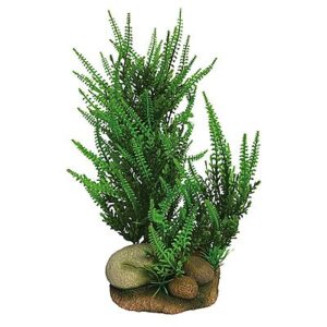 NEW Vibrance - Fontinalis Green Stone Base 30cm 28485