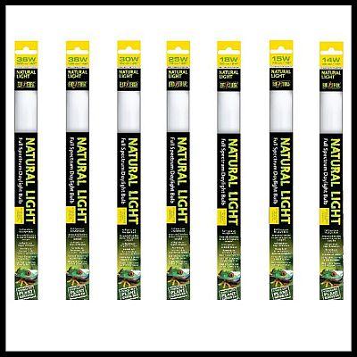 Exo Terra Fluorescent Bulb Natural Light 14w 15ins PT2374