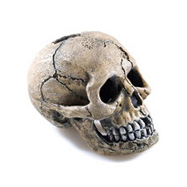 Classic Spooky Skull 105 x 75 x 85mm Aquarium/Reptile Decoration MS313