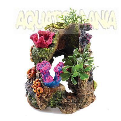 CLASSIC CORAL GARDEN SMALL 100 x 100 x 125mm MS311