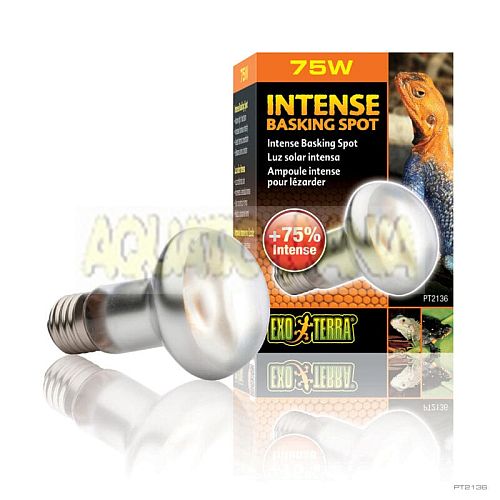 EXO TERRA INTENSE BASKING SPOT LIGHT BULB REPTILE LIGHTING HEAT PT2136 75watt