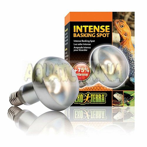 EXO TERRA INTENSE BASKING SPOT LIGHT BULB REPTILE LIGHTING HEAT PT2138 100watt