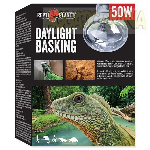 Repti Planet Daylight Basking Spot Bulb 50w RT750
