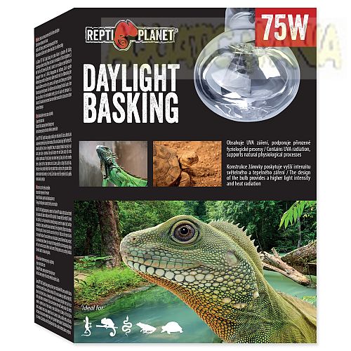 Repti Planet Daylight Basking Spot Bulb 75w RT751