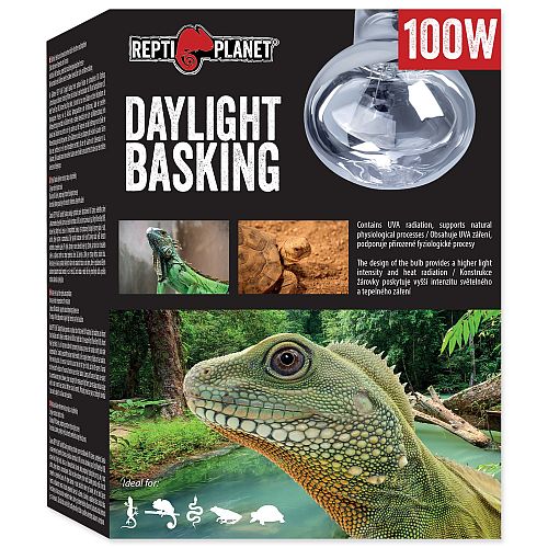 Repti Planet Daylight Basking Spot Bulb 100w RT752