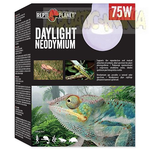 Repti Planet Daylight Neodymium Bulb 75w RT756