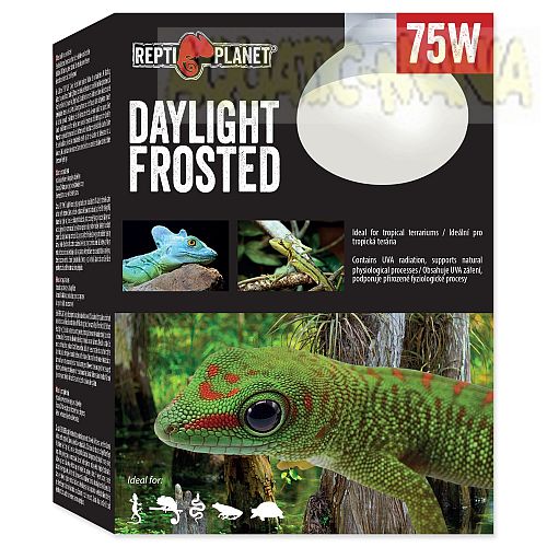 Repti Planet Replacement Daylight Frosted Bulb 75w RT760