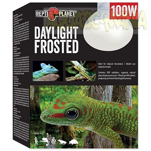 Repti Planet Replacement Daylight Frosted Bulb 100w RT761