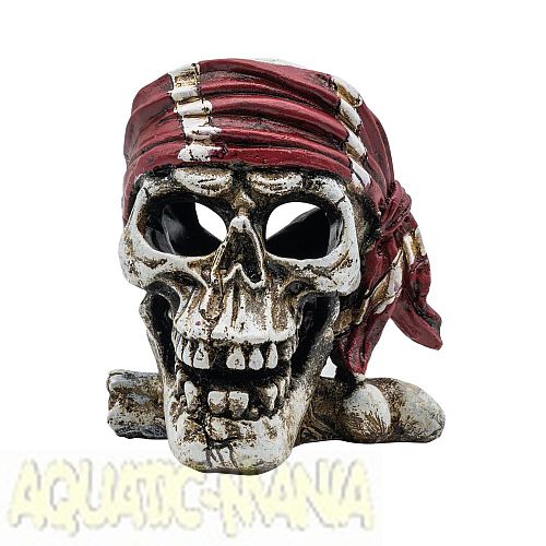 Aqua Spectra Pirate Skull Red Bandana 10×10.5x11cm 1DA275