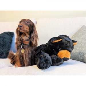 HappyPet Black Bear 24" 3137475