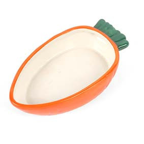 Carrot Pet Bowl 100ml 13168